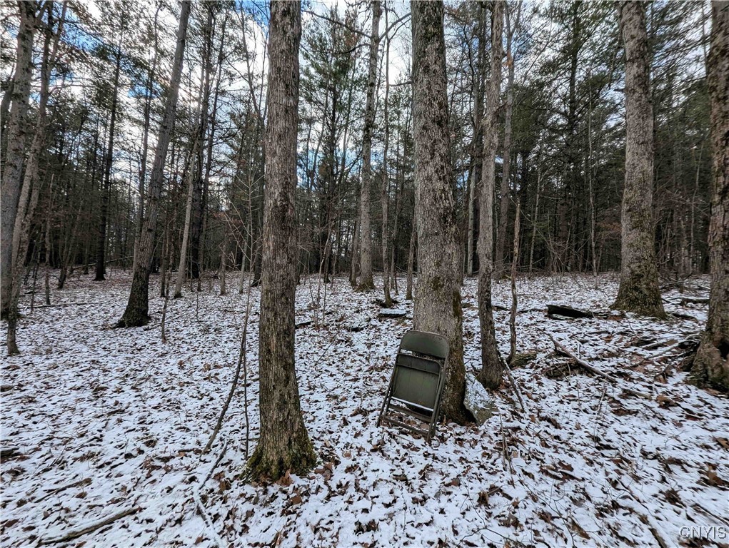 Angel Road Cameron, NY 14819 - Photo 17 of 32