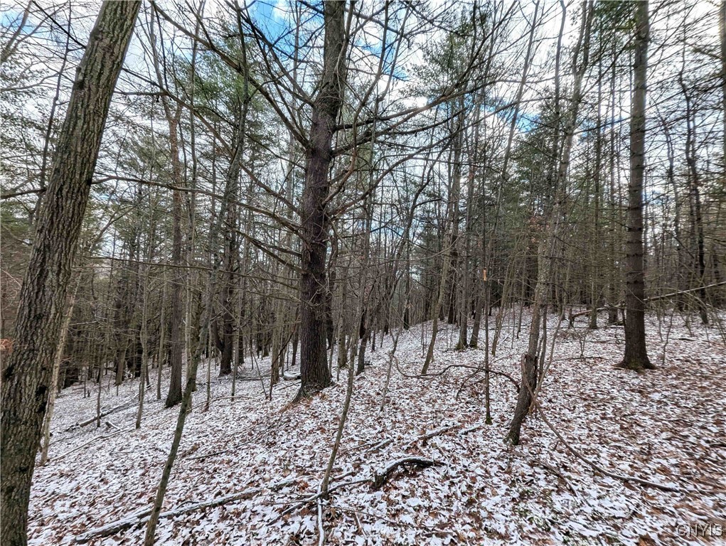 Angel Road Cameron, NY 14819 - Photo 18 of 32