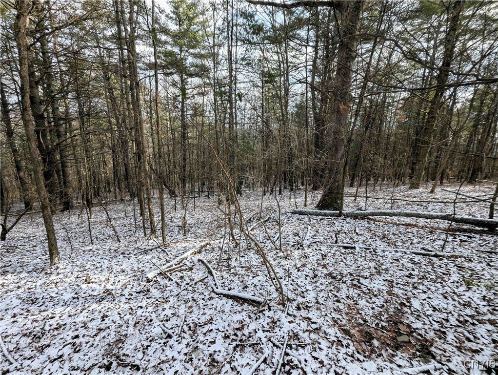 Angel Road Cameron, NY 14819 - Photo 19 of 32