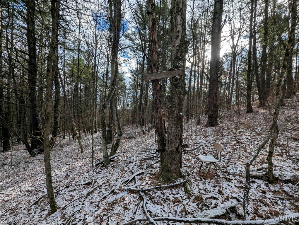 Angel Road Cameron, NY 14819 - Photo 20 of 32