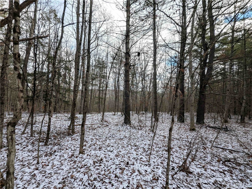 Angel Road Cameron, NY 14819 - Photo 2 of 32