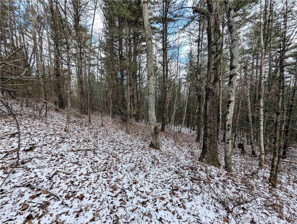 Angel Road Cameron, NY 14819 - Photo 21 of 32