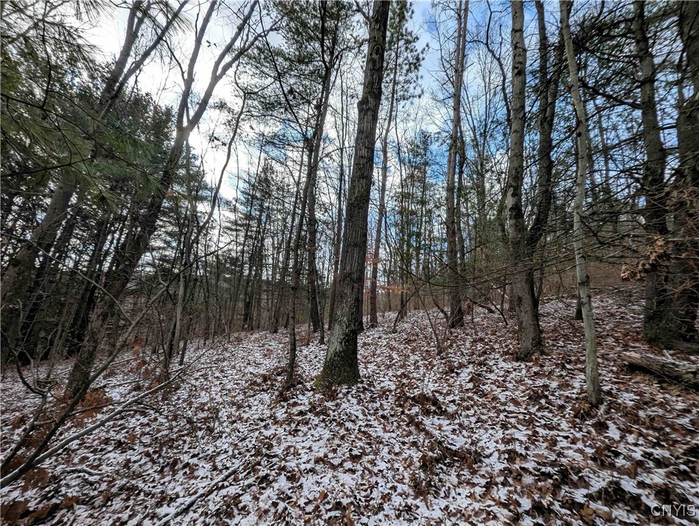 Angel Road Cameron, NY 14819 - Photo 22 of 32