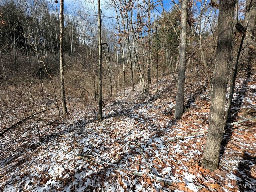 Angel Road Cameron, NY 14819 - Photo 23 of 32