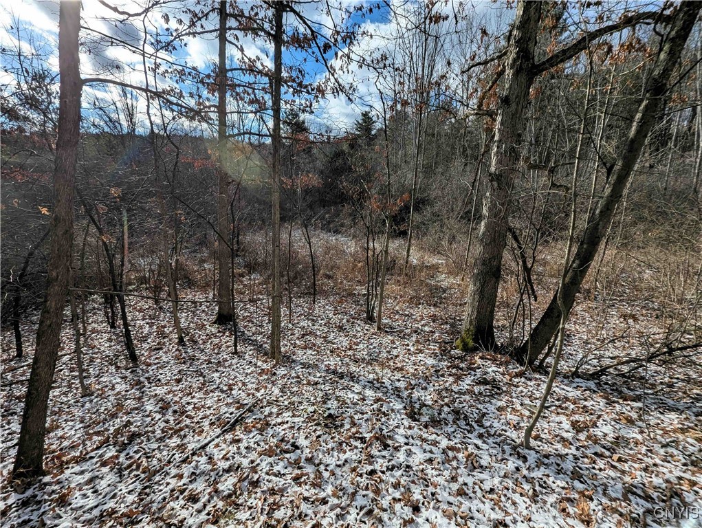 Angel Road Cameron, NY 14819 - Photo 24 of 32