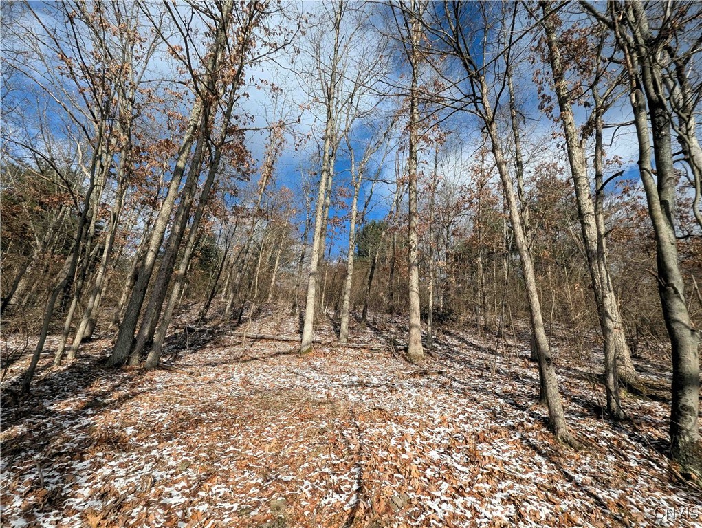 Angel Road Cameron, NY 14819 - Photo 25 of 32