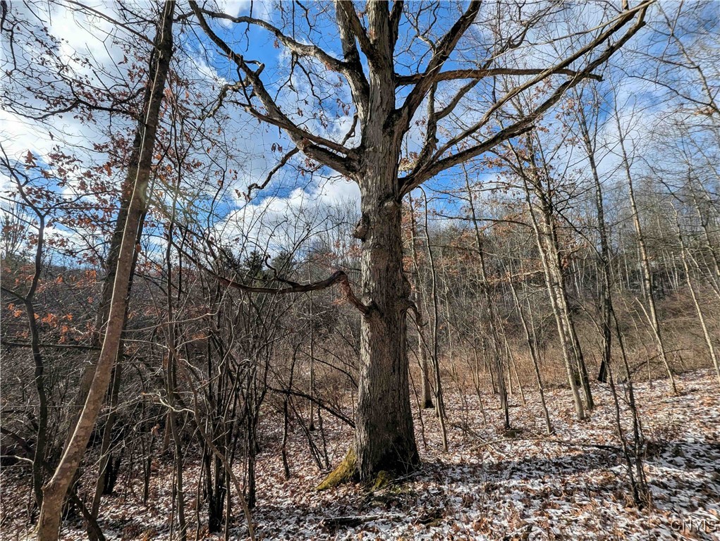 Angel Road Cameron, NY 14819 - Photo 26 of 32