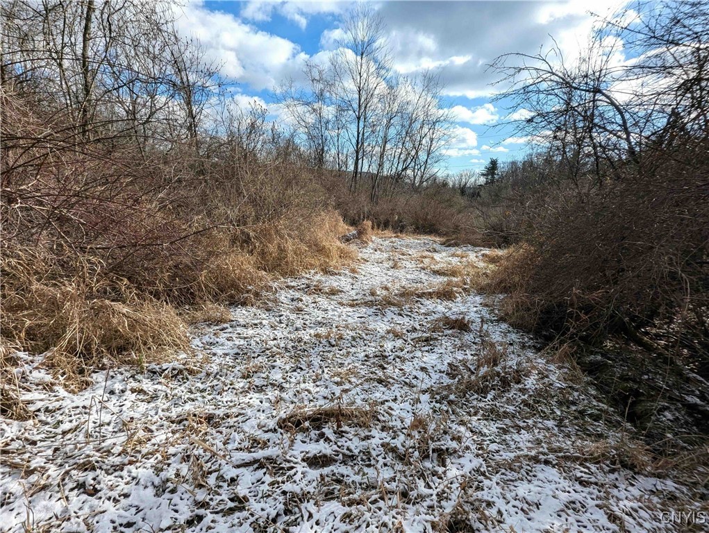 Angel Road Cameron, NY 14819 - Photo 27 of 32