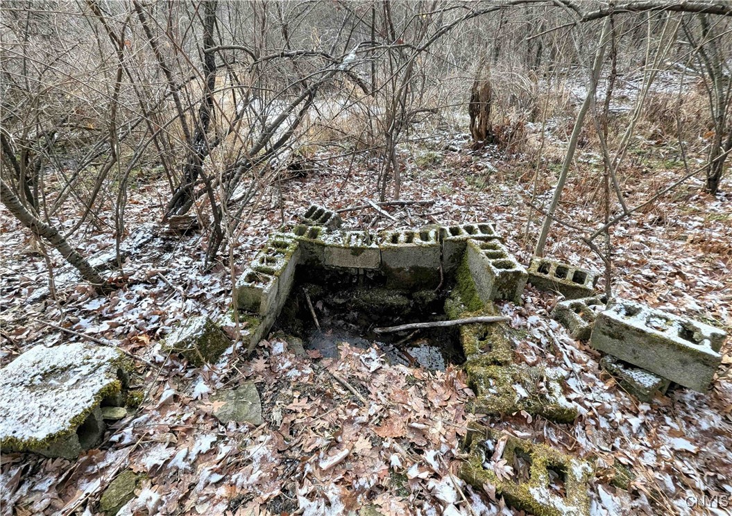 Angel Road Cameron, NY 14819 - Photo 28 of 32