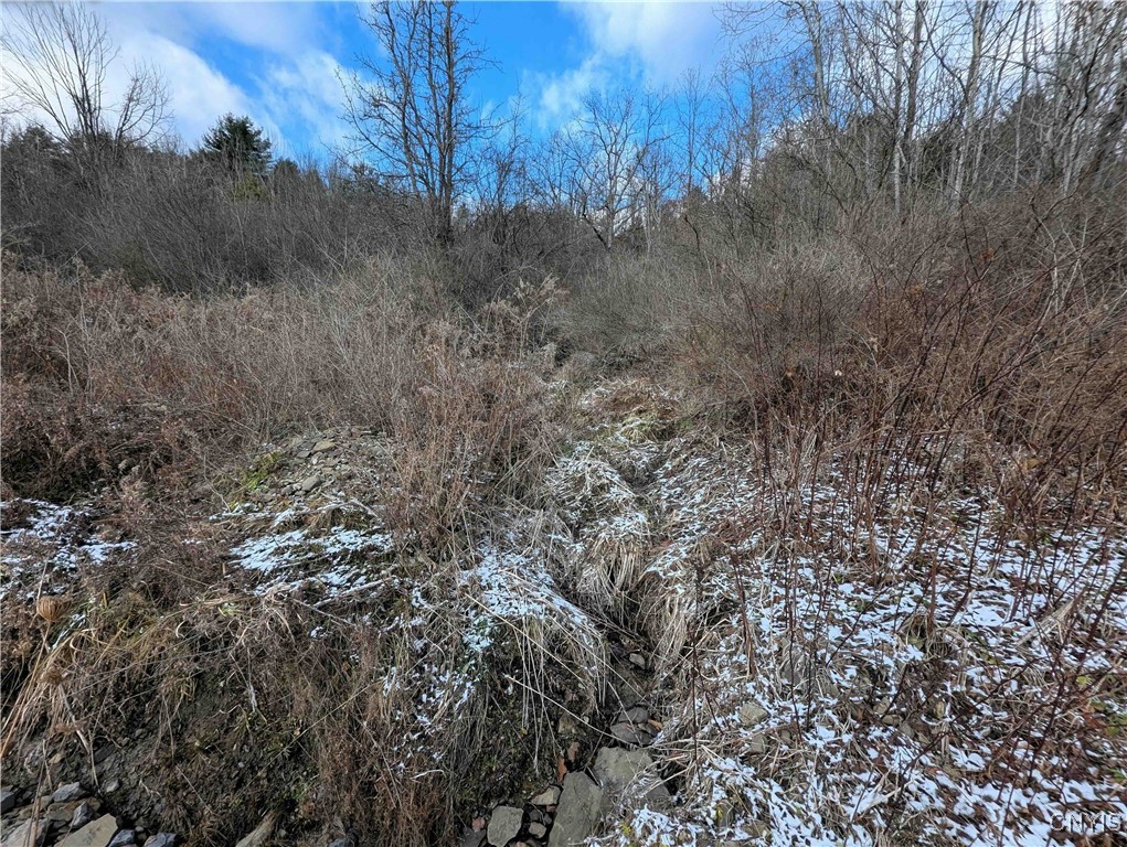 Angel Road Cameron, NY 14819 - Photo 30 of 32