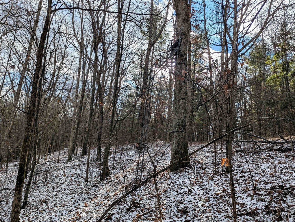 Angel Road Cameron, NY 14819 - Photo 3 of 32