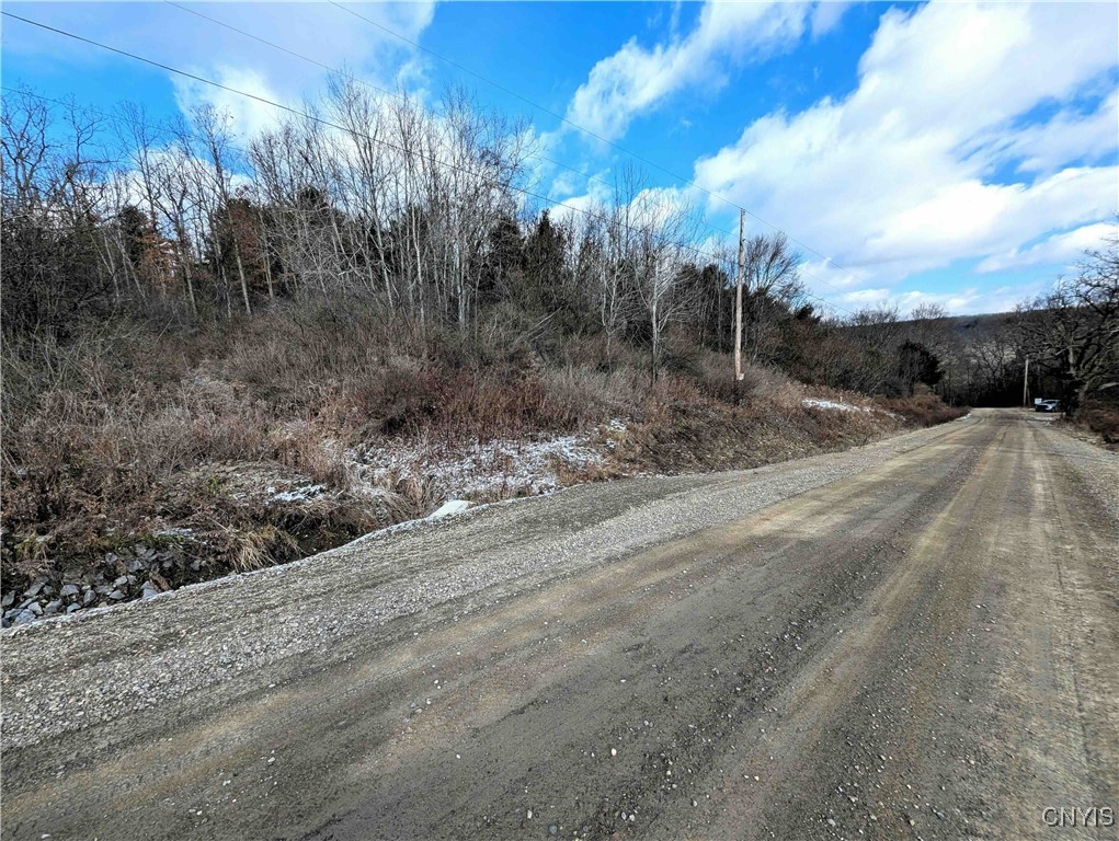 Angel Road Cameron, NY 14819 - Photo 31 of 32