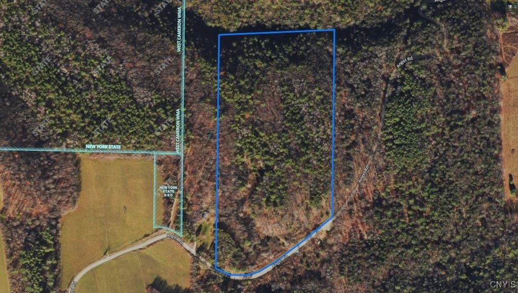 Angel Road Cameron, NY 14819 - Photo 4 of 32