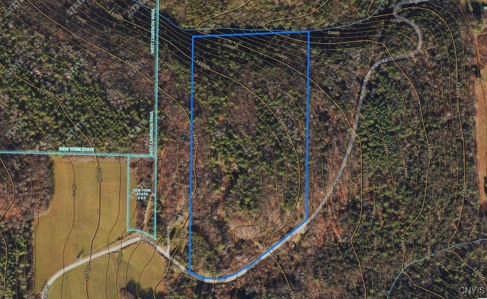 Angel Road Cameron, NY 14819 - Photo 5 of 32