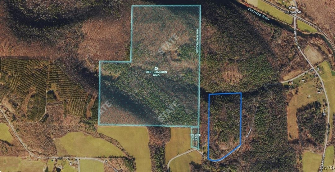 Angel Road Cameron, NY 14819 - Photo 6 of 32