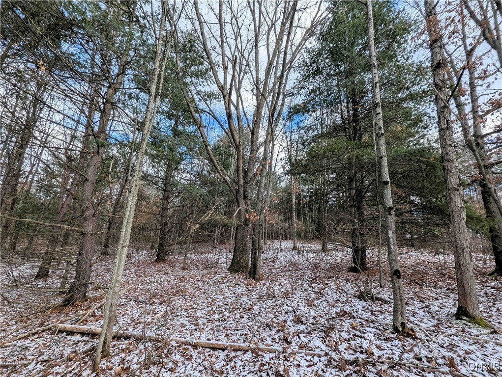 Angel Road Cameron, NY 14819 - Photo 8 of 32