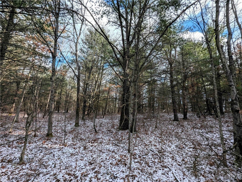 Angel Road Cameron, NY 14819 - Photo 9 of 32