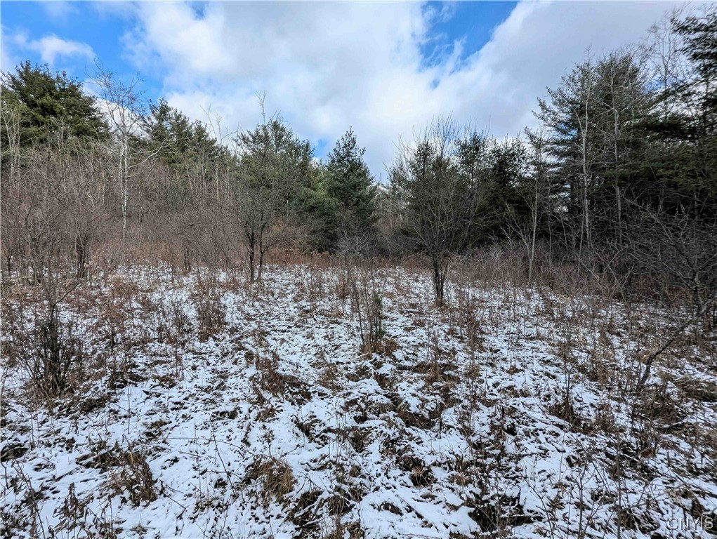 Angel Road Cameron, NY 14819 - Photo 10 of 32