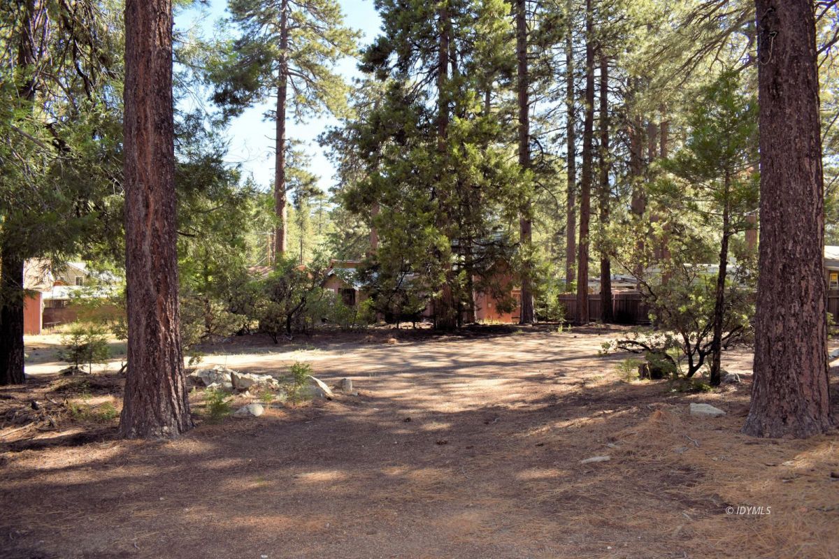 25140 Marion Ridge Drive Idyllwild, CA 92549 - Photo 1 of 3 Untitled