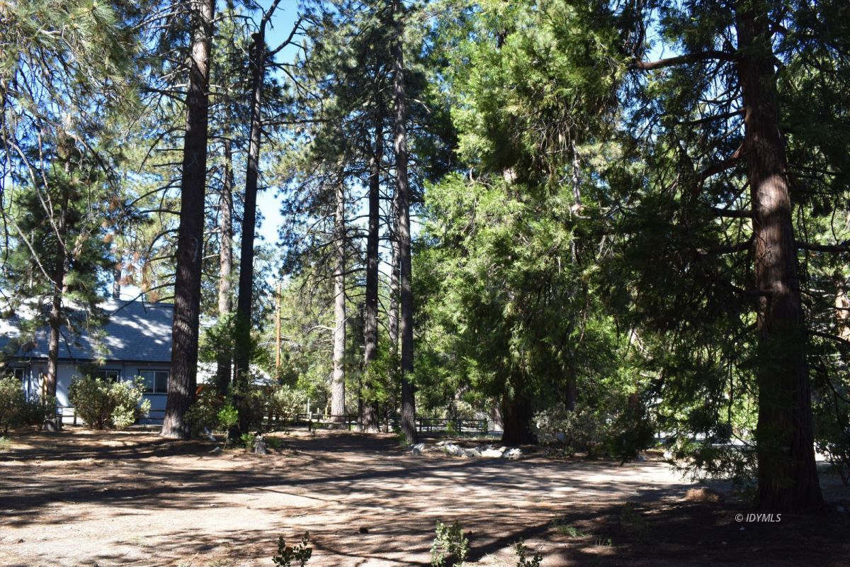 25140 Marion Ridge Drive Idyllwild, CA 92549 - Photo 3 of 3 Untitled