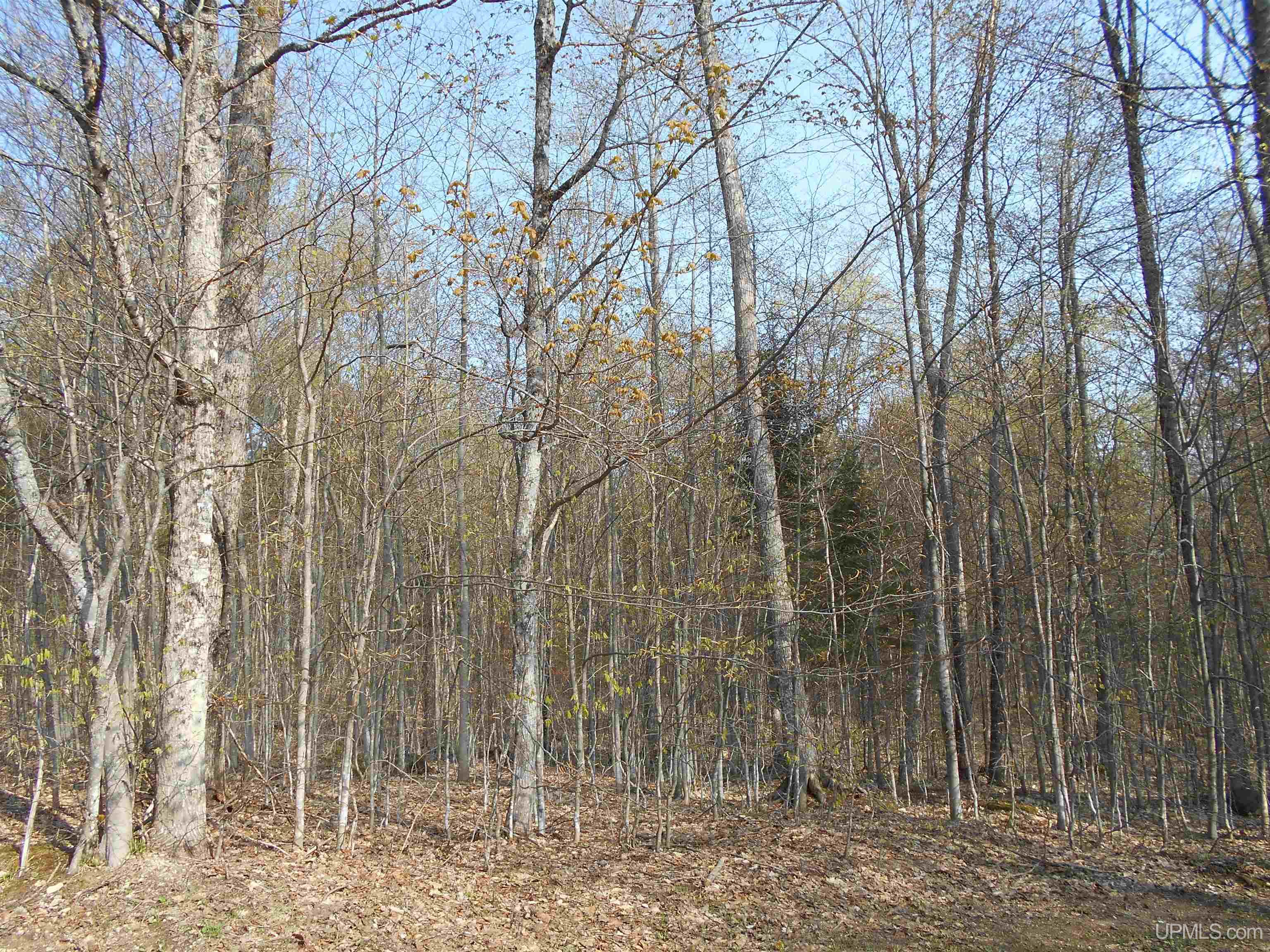 6345 South Northrough Road Wetmore, MI 49895 - Photo 64 of 67