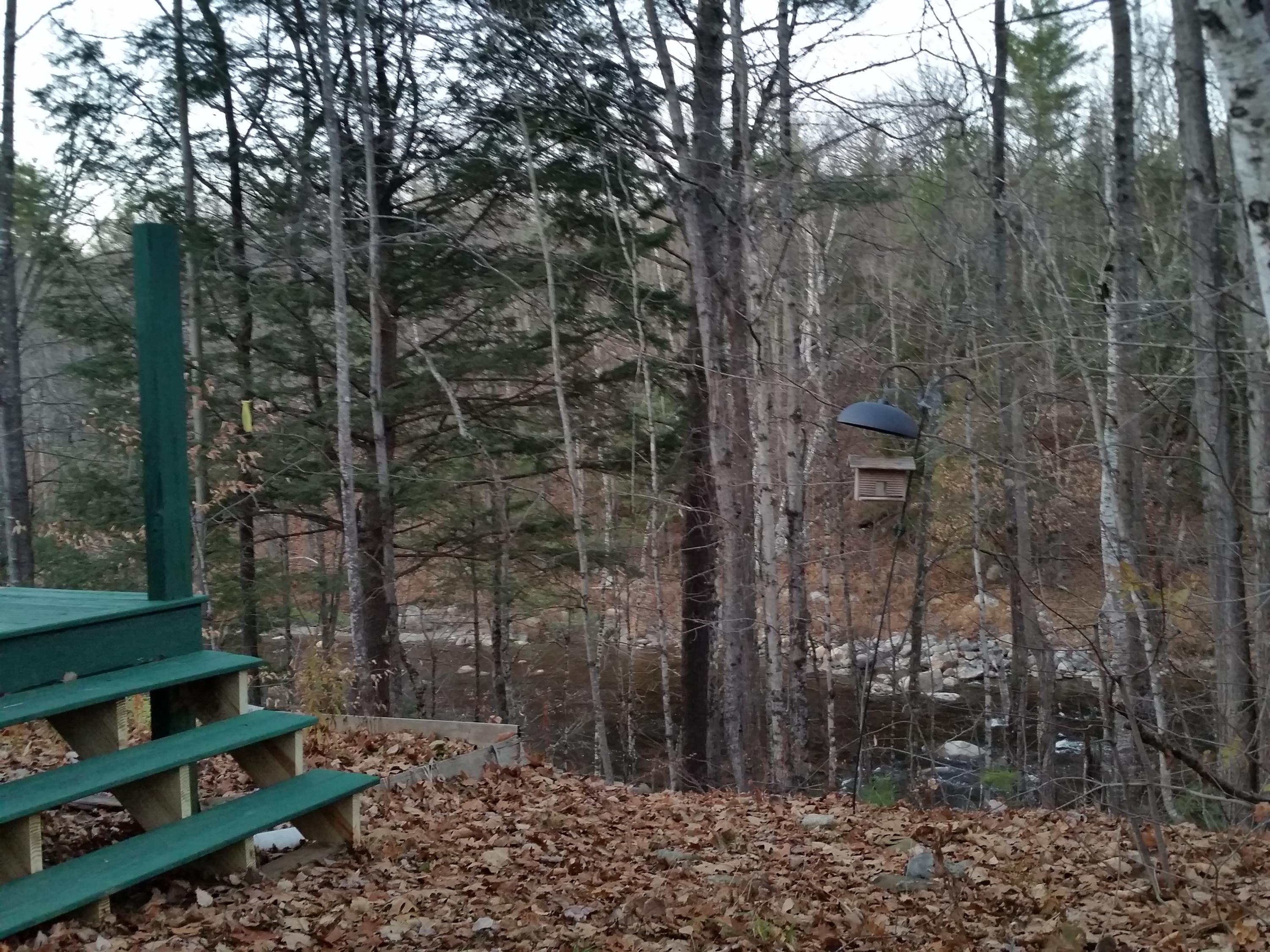 197 Phillips Road Strong, ME 04983 - Photo 15 of 38 Mary Lynch 111