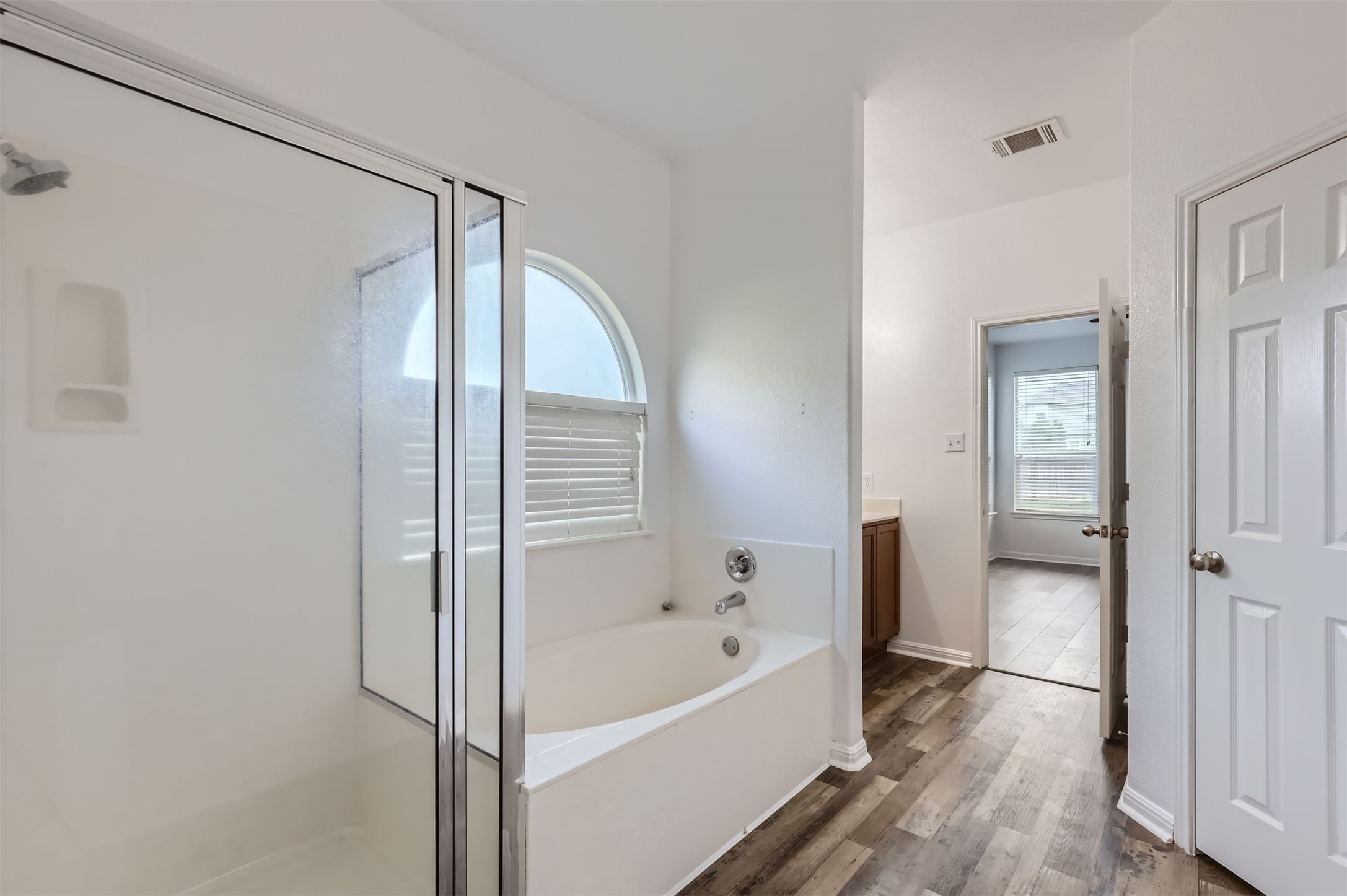 131 Lavaca Loop Hutto, TX 78634 - Photo 12 of 29 Step into a rejuvenating bathing area, featuring a spacious shower and a serene soaking tub beneath an arched window.