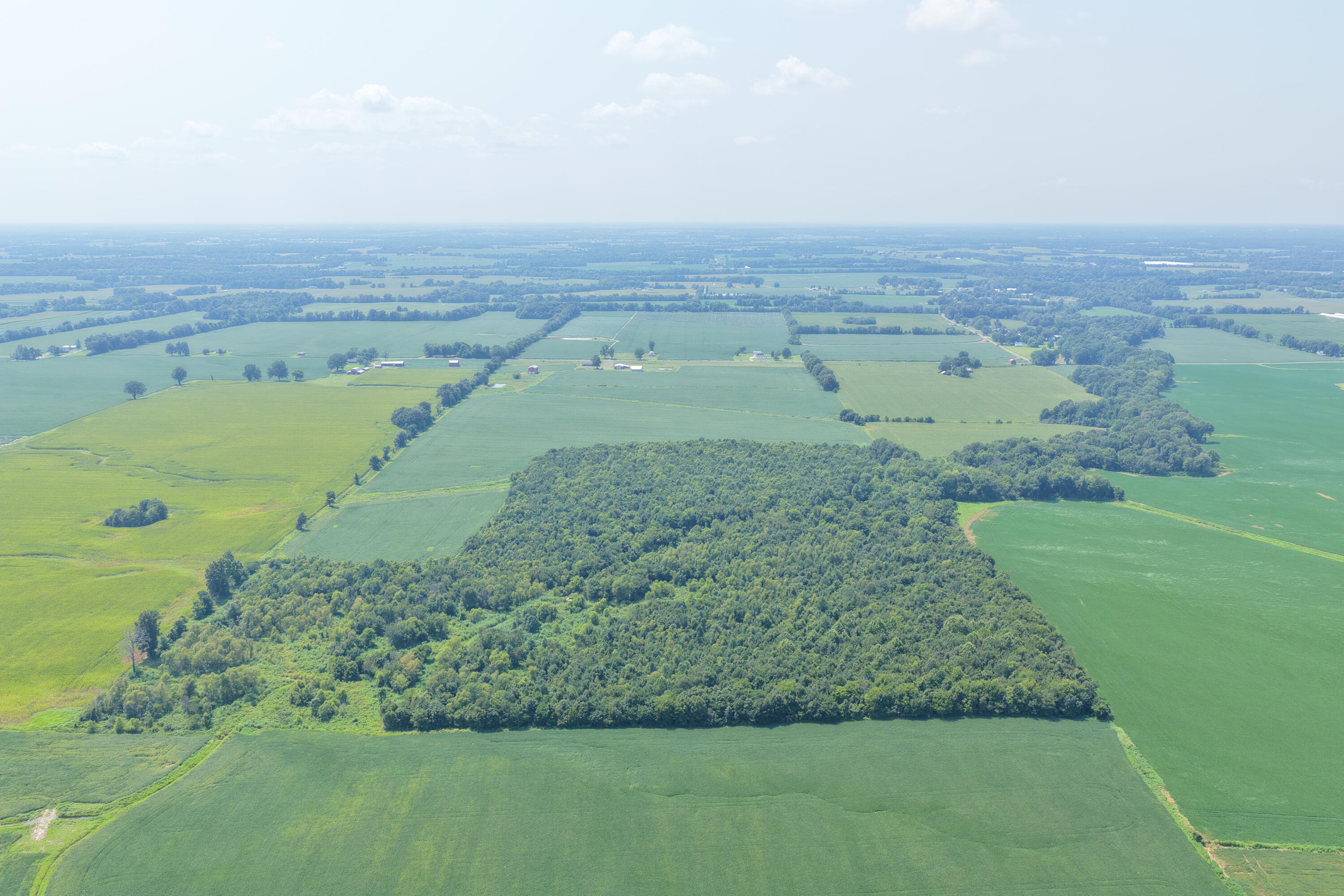 0 Beech Grove Road Farmington, KY 42040 - Photo 3 of 8 dji_fly_20260810_141628_0144_17863976826