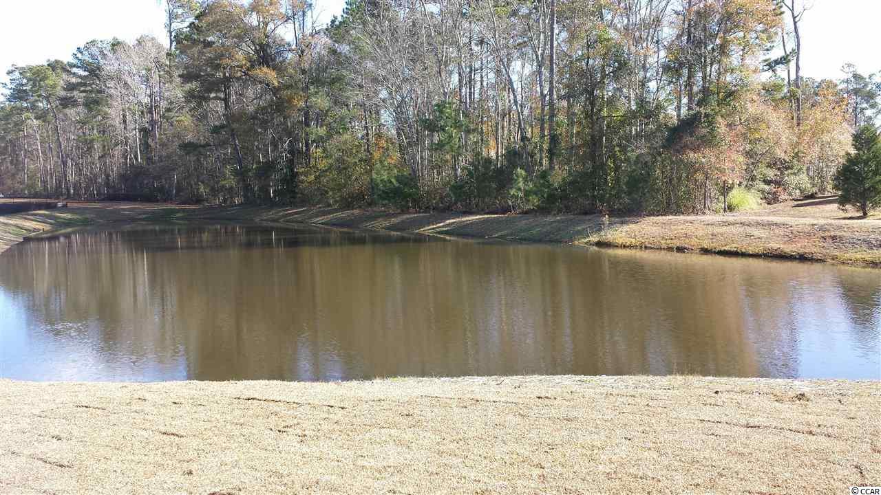 381 Ridge Point Drive Conway, SC 29526 - Photo 8 of 21 Gallery Image 8