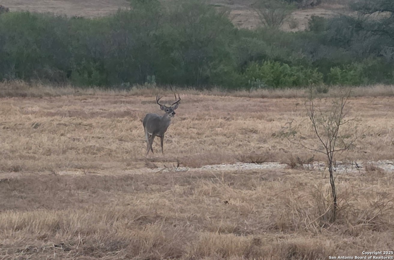 320 Pullin Drive Pleasanton, TX 78064 - Photo 41 of 43