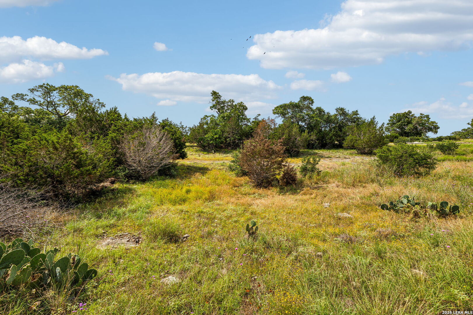 155 Obscure Way Spring Branch, TX 78070 - Photo 5 of 25