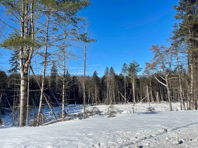 $29,900 | 0 Vermont Route, West Burke, VT 05871