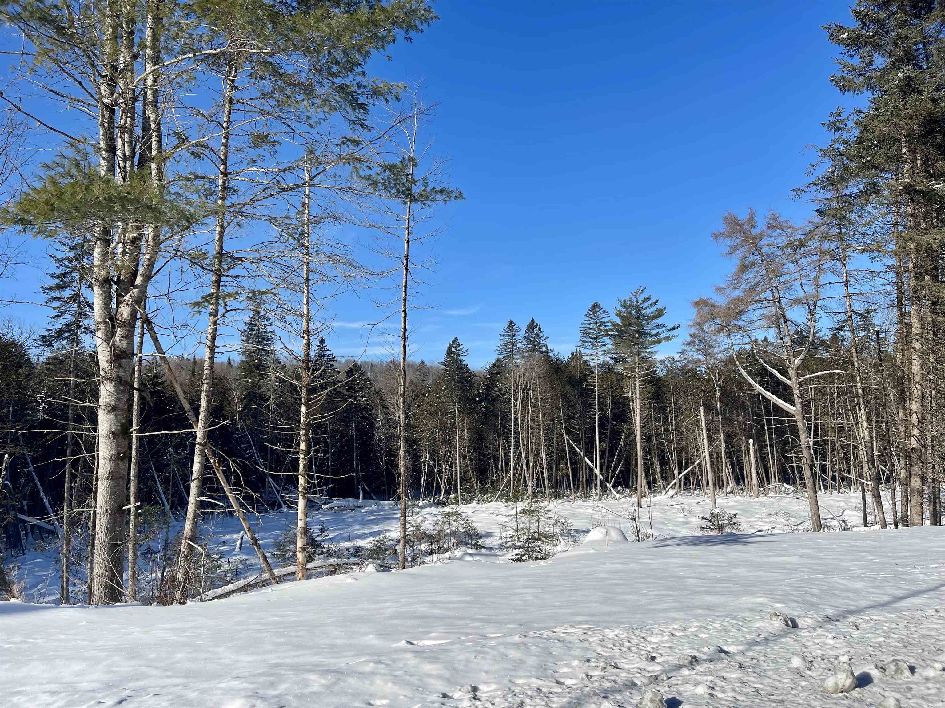 0 Vermont Route West Burke, VT 05871 - Photo 2 of 6