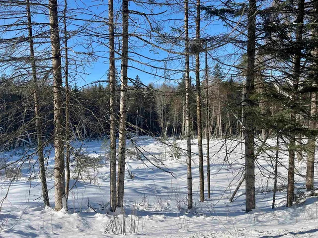 $29,900 | 0 Vermont Route, West Burke, VT 05871