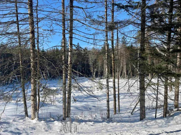 $29,900 | 0 Vermont Route, West Burke, VT 05871