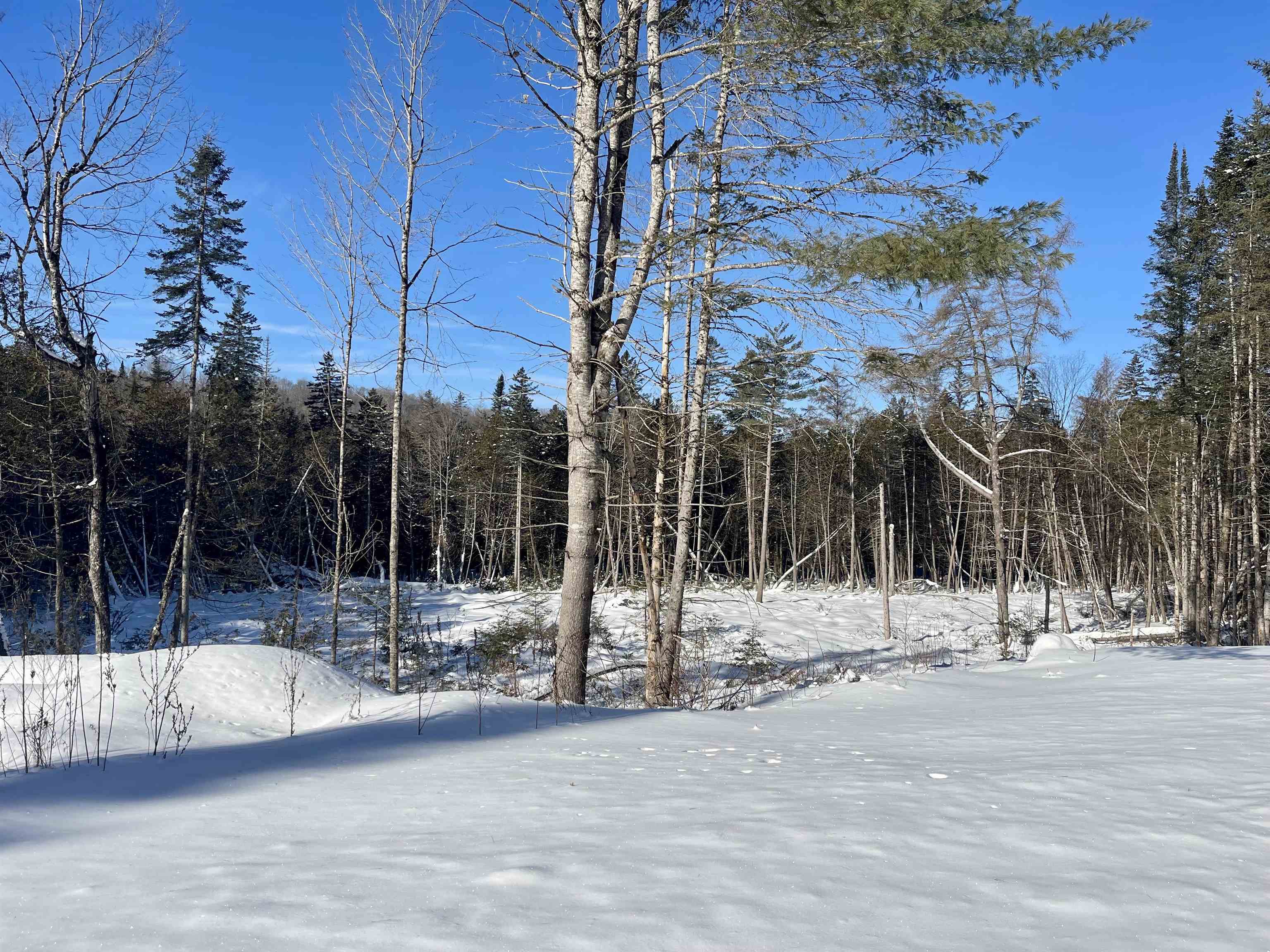 0 Vermont Route West Burke, VT 05871 - Photo 4 of 6