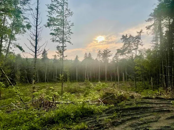 $29,900 | 0 Vermont Route, West Burke, VT 05871