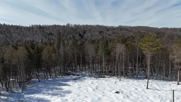 $29,900 | 0 Vermont Route, West Burke, VT 05871
