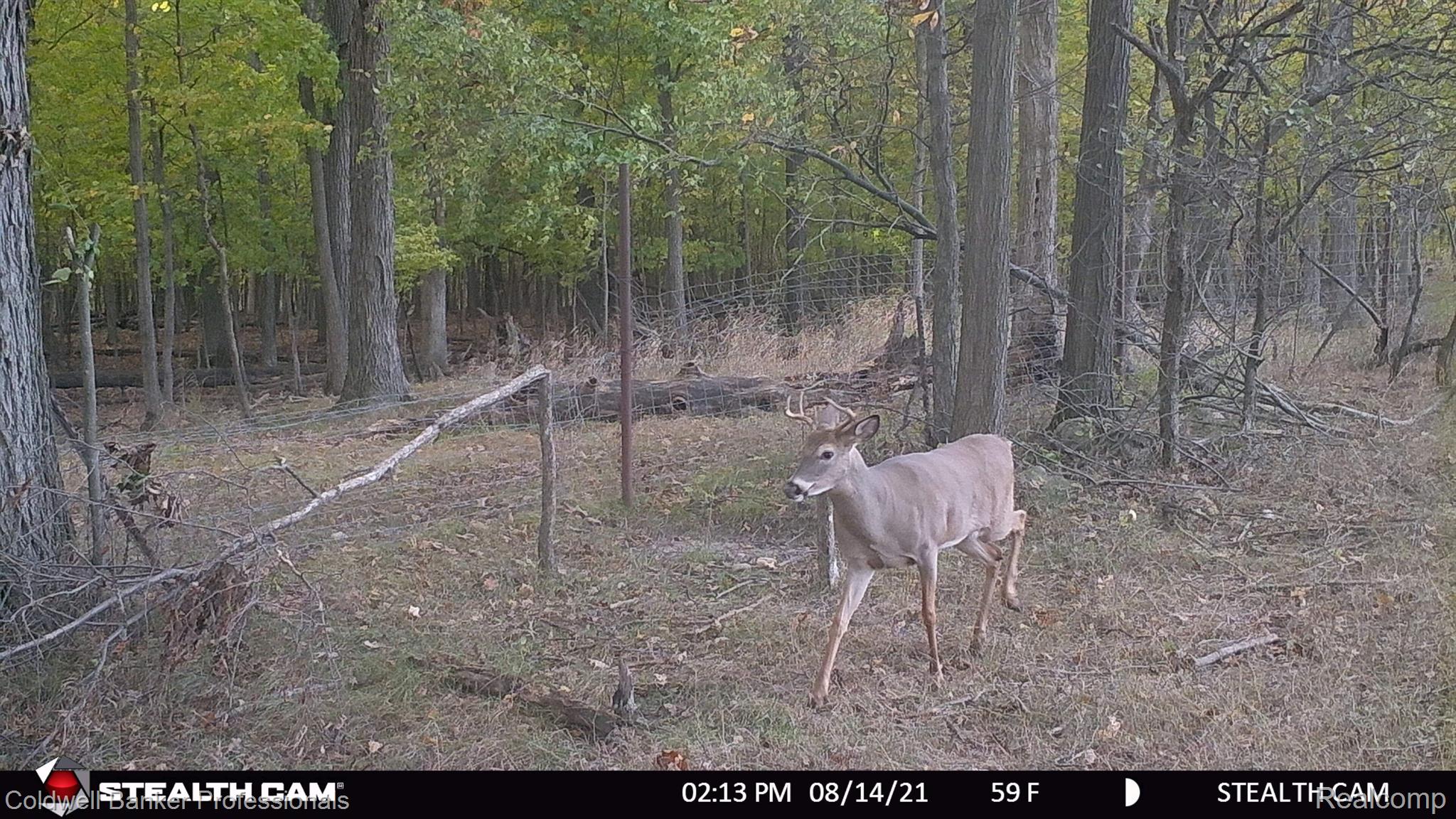 2711 South Elba Road Lapeer, MI 48446 - Photo 45 of 45 Gallery Image 45