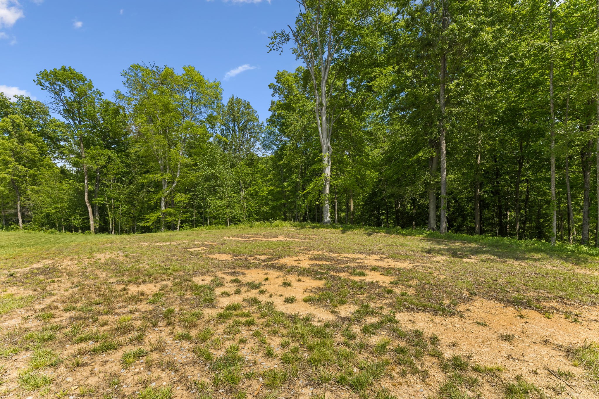 0 Casparis Road Columbia, TN 38401 - Photo 6 of 22 a view of a field with trees in the background