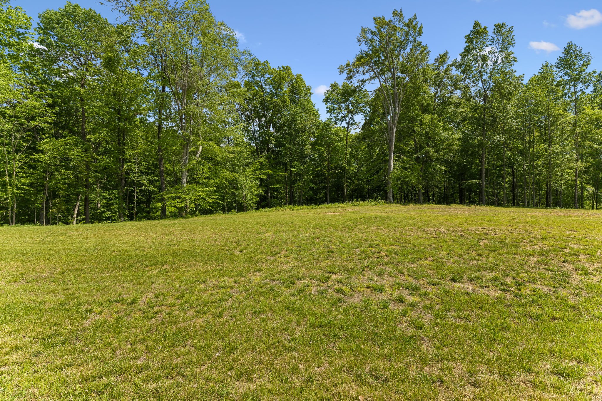 0 Casparis Road Columbia, TN 38401 - Photo 8 of 22 a view of an outdoor space and a yard