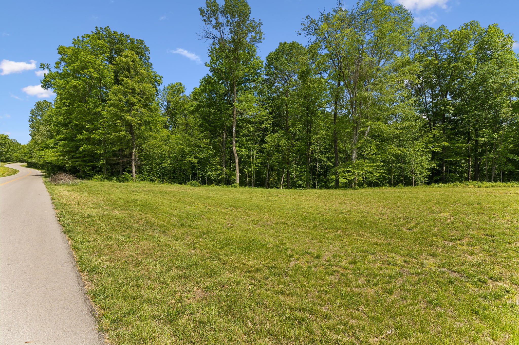 0 Casparis Road Columbia, TN 38401 - Photo 10 of 22 a view of a yard with a trees