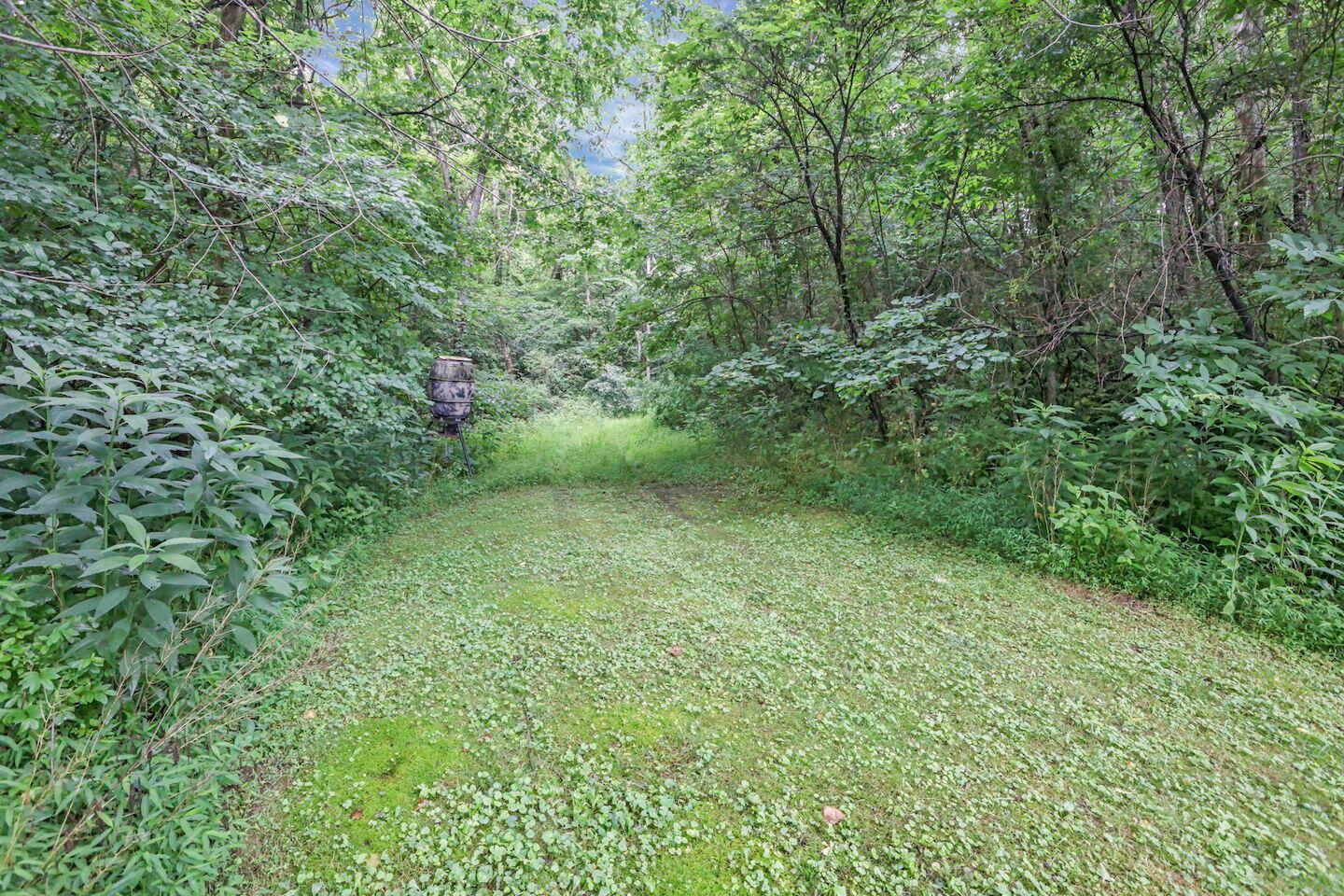 16749 Mush Run Road Athens, OH 45701 - Photo 12 of 37 19-web-or-mls-LO5A4556
