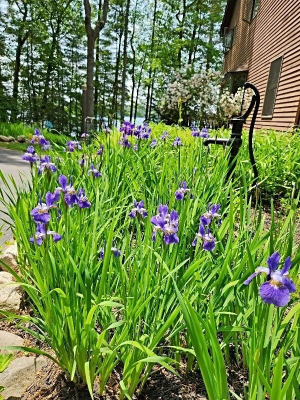 694 Hancock Pond Road Sebago, ME 04029 - Photo 12 of 119 tempImagegTlmcq