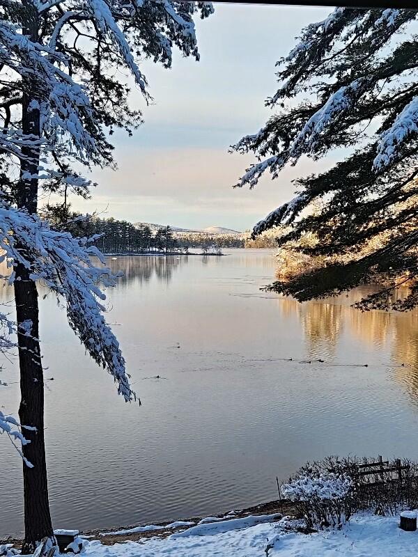 694 Hancock Pond Road Sebago, ME 04029 - Photo 9 of 119 tempImage4hZ89H