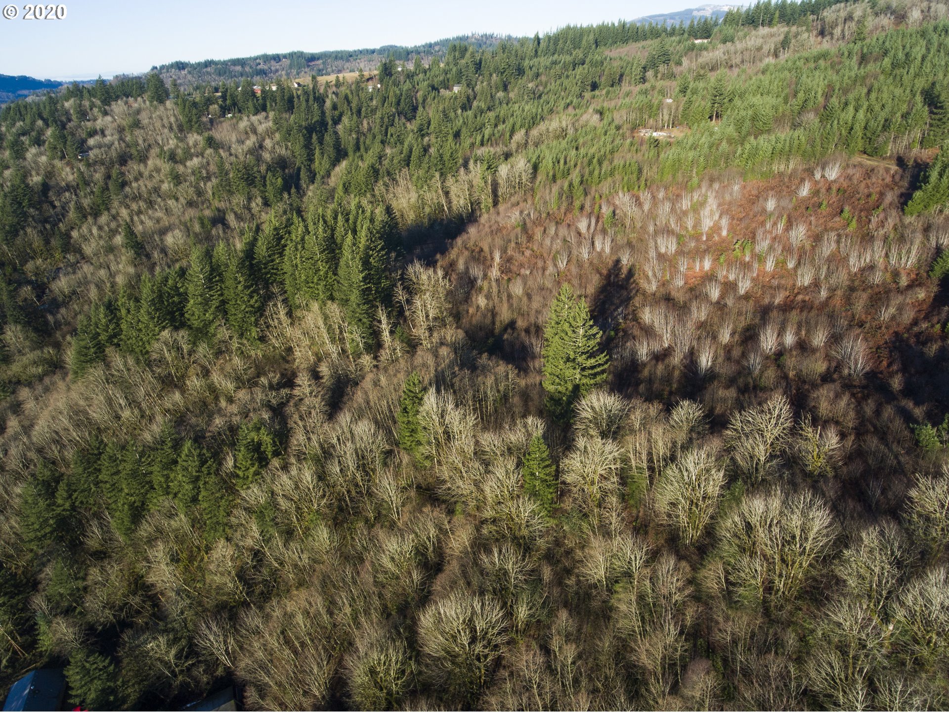 Carleton Road Washougal, WA 98671 - Photo 2 of 7 Gallery Image 2