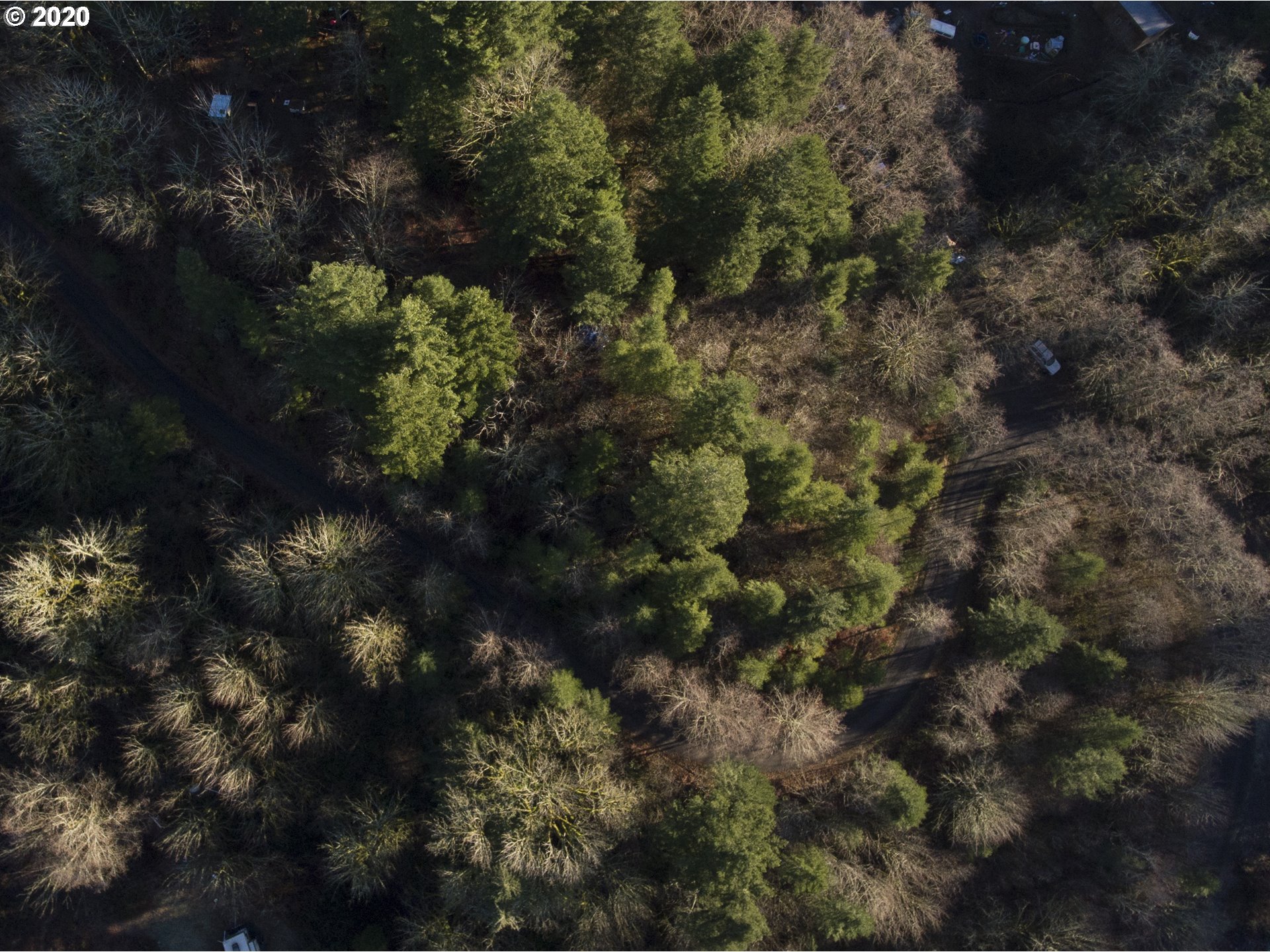 Carleton Road Washougal, WA 98671 - Photo 3 of 7 Gallery Image 3