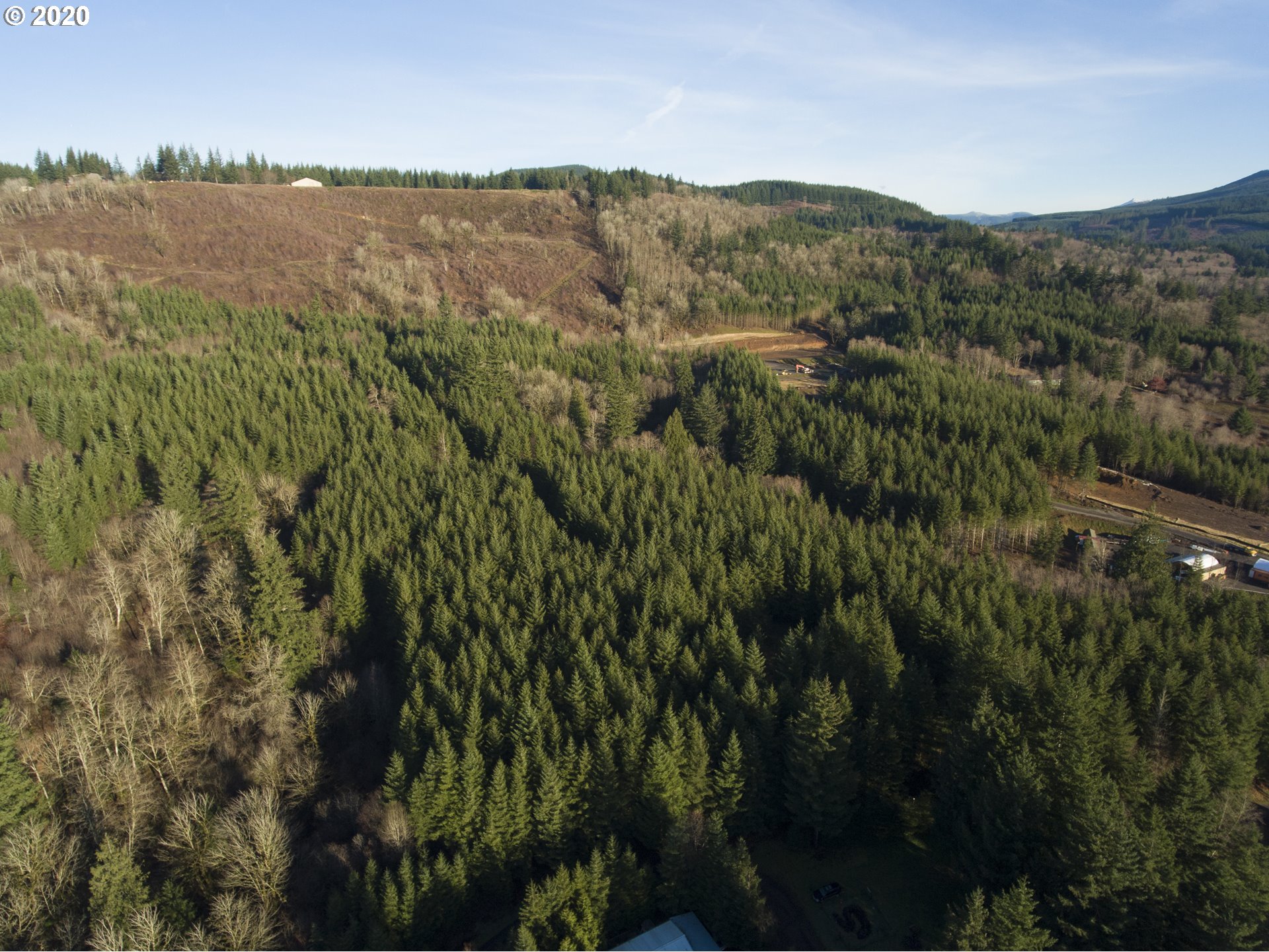 Carleton Road Washougal, WA 98671 - Photo 4 of 7 Gallery Image 4