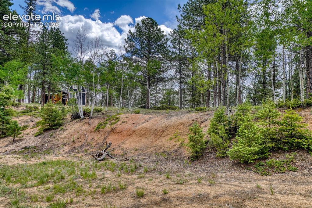 2927 Pathfinder Road Florissant, CO 80816 - Photo 29 of 37