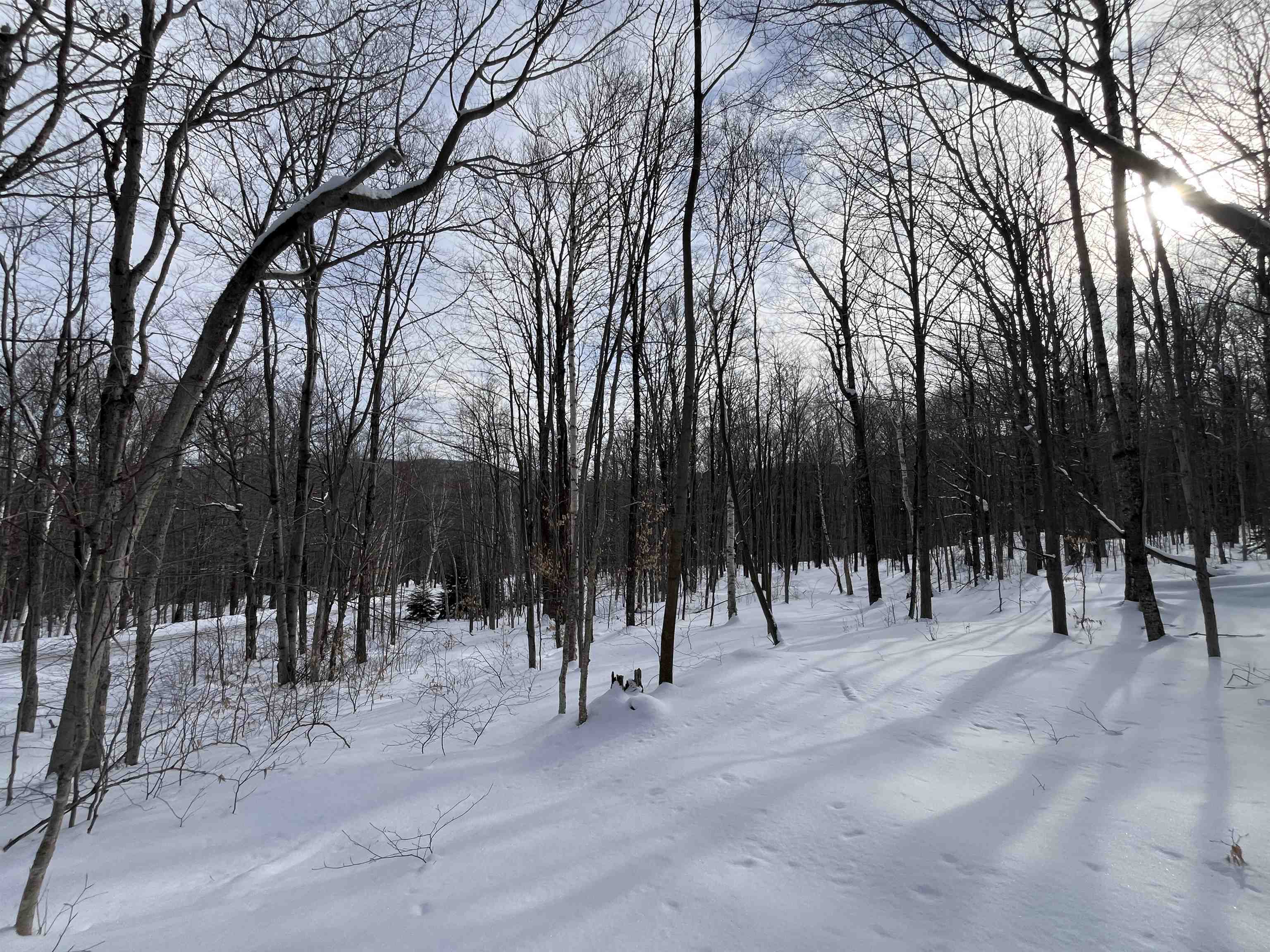 Lot 1 Streeter Road, Unit 1 West Wardsboro, VT 05360 - Photo 1 of 12
